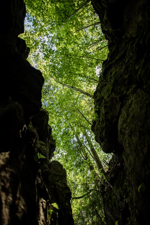 210703-DSC_9656