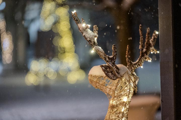 winter main st2